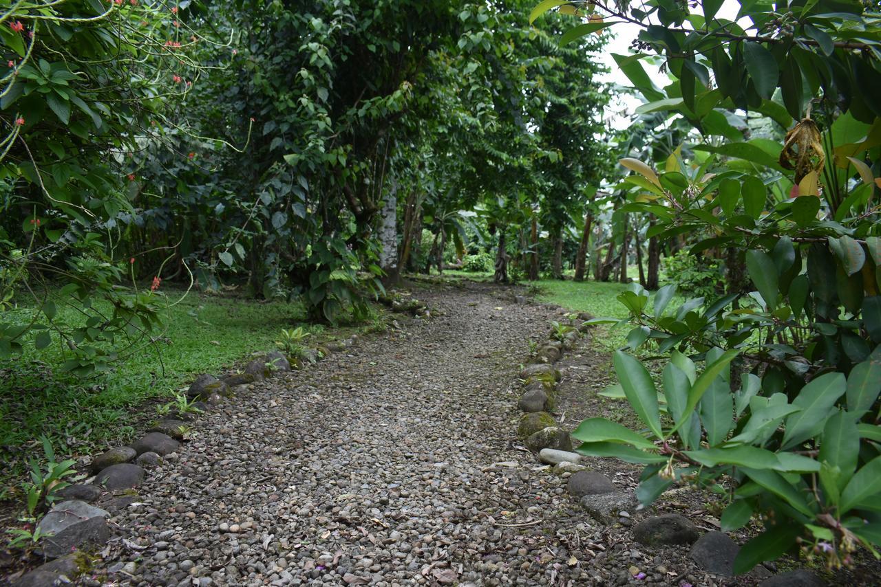 Hotel Roca Negra Del Arenal La Fortuna Exterior foto